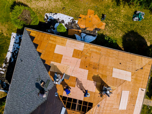 Roof Gutter Cleaning in Hillsboro, WI