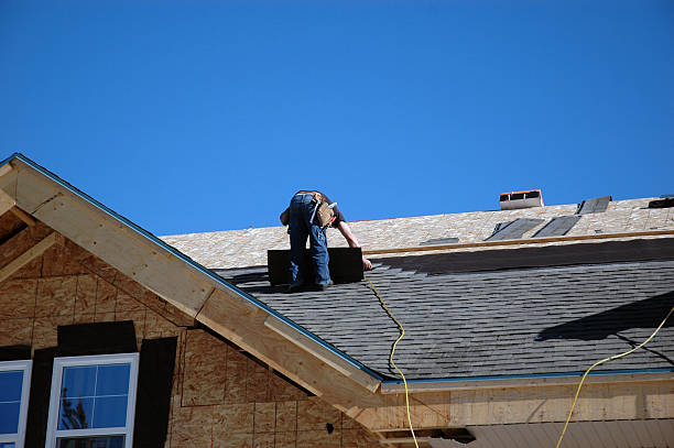Best Roof Gutter Cleaning  in Hillsboro, WI