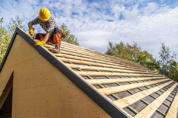 Best Roof Gutter Cleaning  in Hillsboro, WI